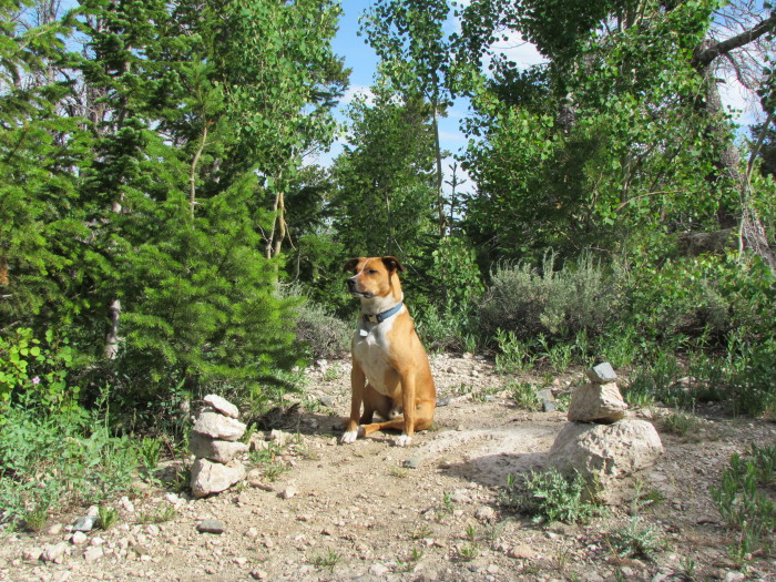 Grady guarding the path that leads to Zorro Wall, and in turn Gaucho