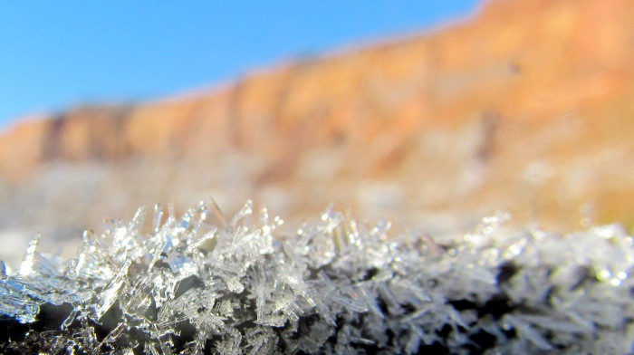 Apparently, my camera can do macro! Click to embiggen and see ice crystals